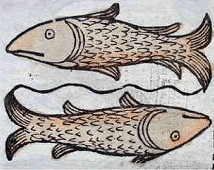 Pisces, die Fische