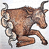 Taurus, der Stier