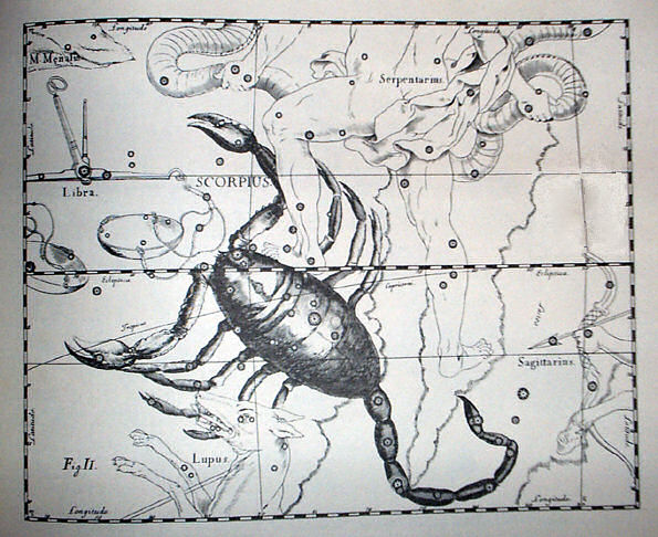Scorpius, der Skorpion