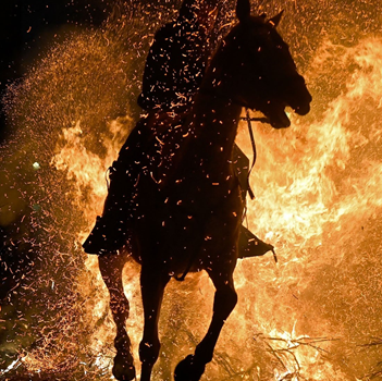 丙午 年 bǐngwǔ nián Jahr des Feuer-Pferdes